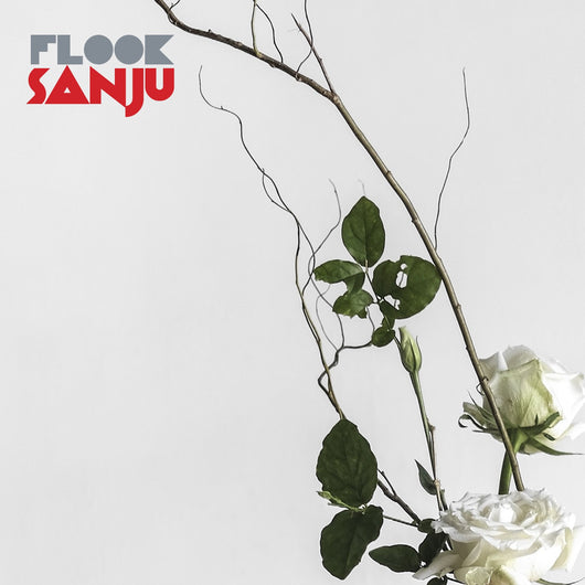 Flook - Sanju (CD & LP Formats)