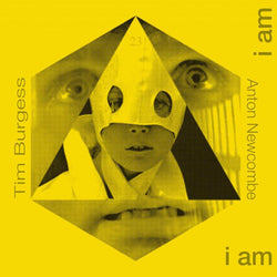 Tim Burgess & Anton Newcombe - The Doors Of Then - Yellow Vinyl 12