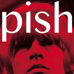 Brian Jonestown Massacre - Mini Album Thingy - CD