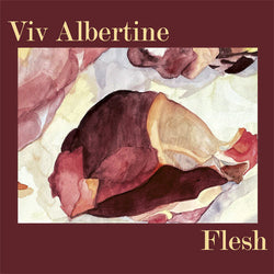 Viv Albertine - Flesh - 12